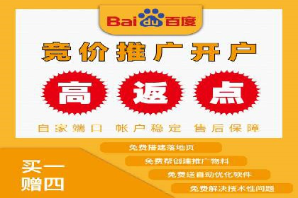 成功托管SEM竞价，实现品牌快速曝光